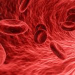 blood, cells, red-1813410.jpg